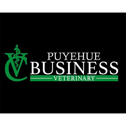 CV PUYEHUE BUSINESS VETERINARY