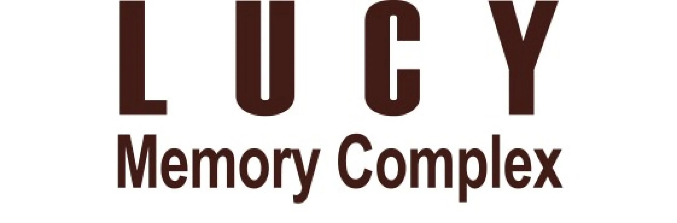 LUCY Memory Complex