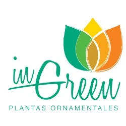 IN GREEN PLANTAS ORNAMENTALES