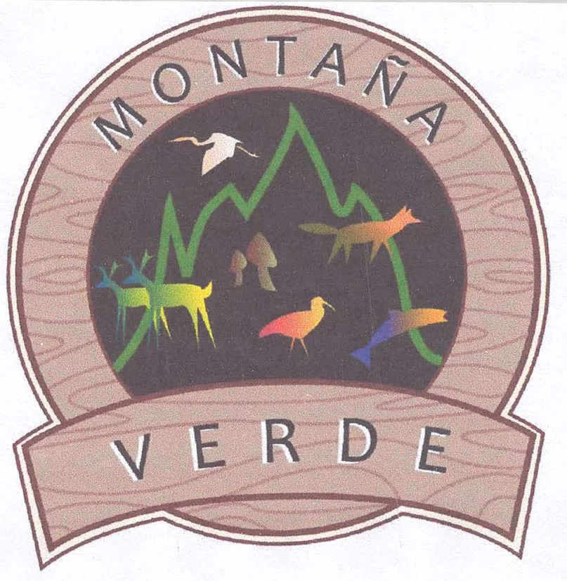 MONTAÑA VERDE