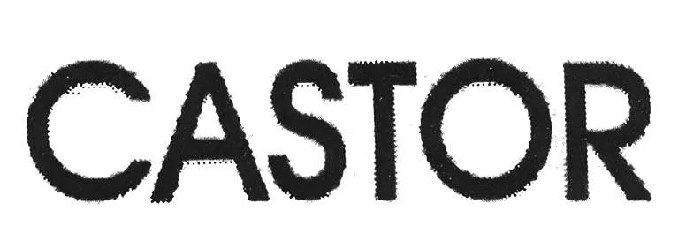 CASTOR
