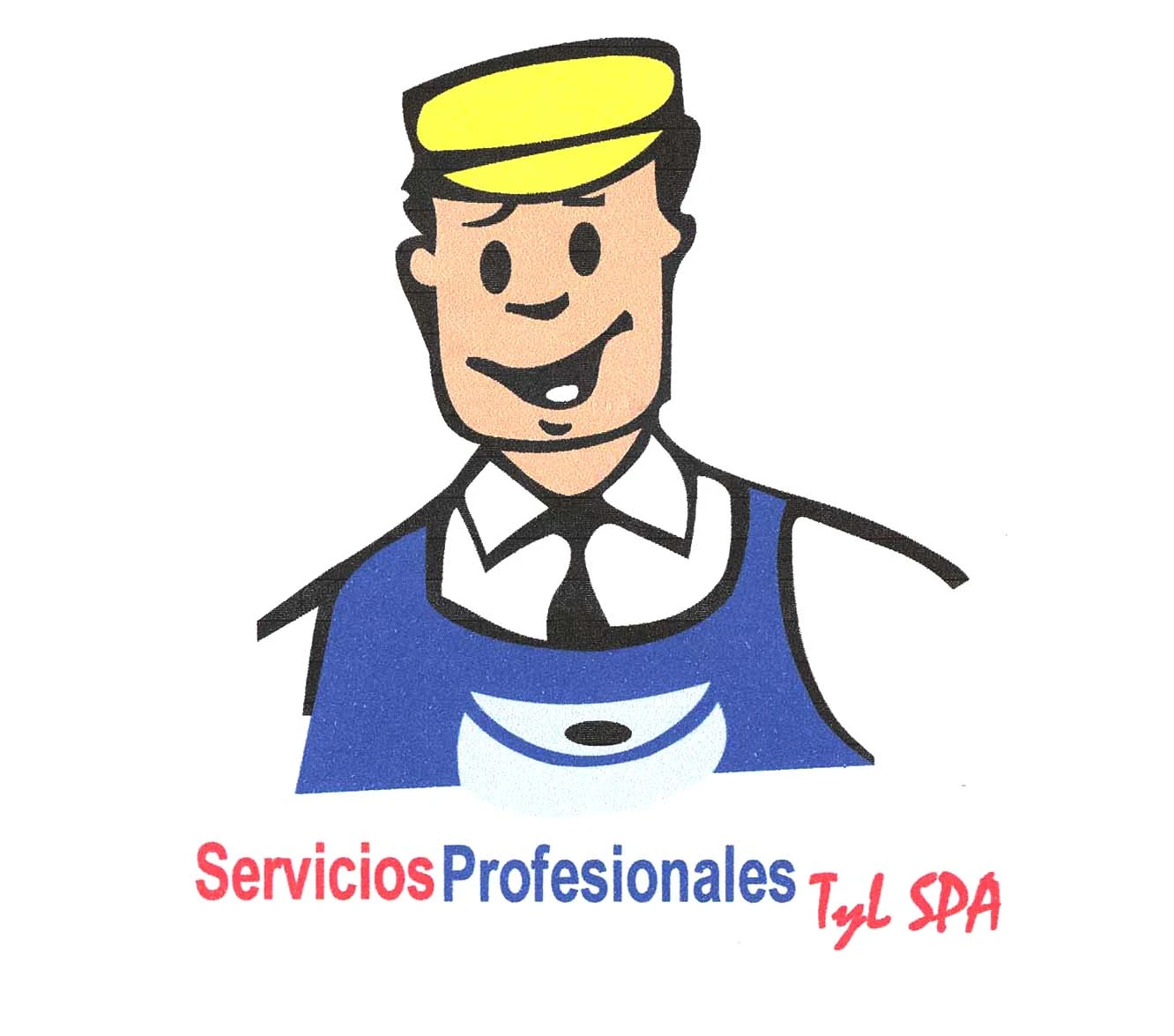 SERVICIOS PROFESIONALES T Y L SPA