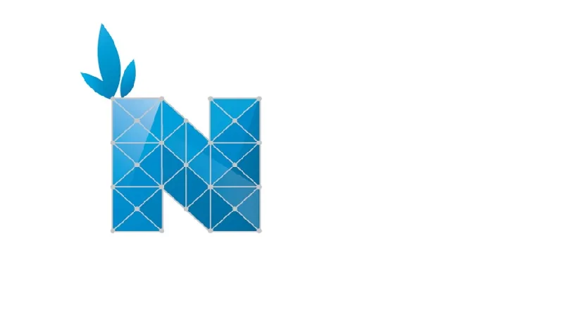 N