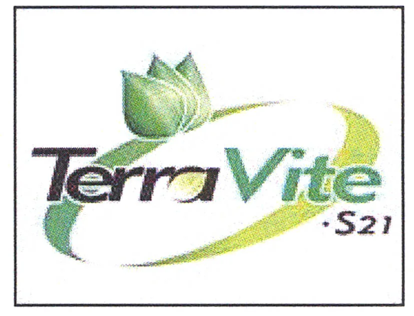 TERRA VITE S21