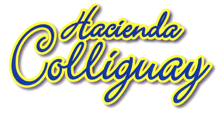 Hacienda Colliguay