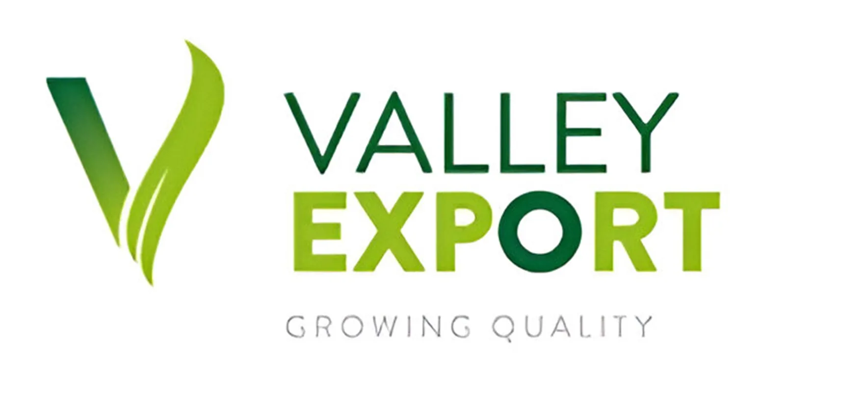 V Valley Export Growing Quality