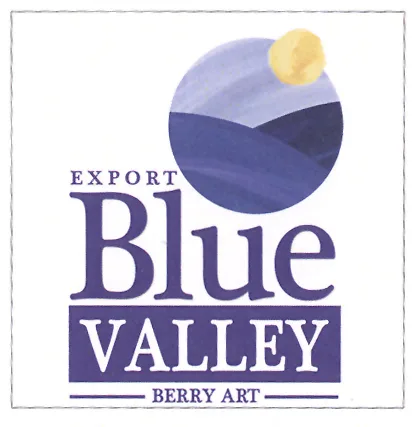 BLUE VALLEY