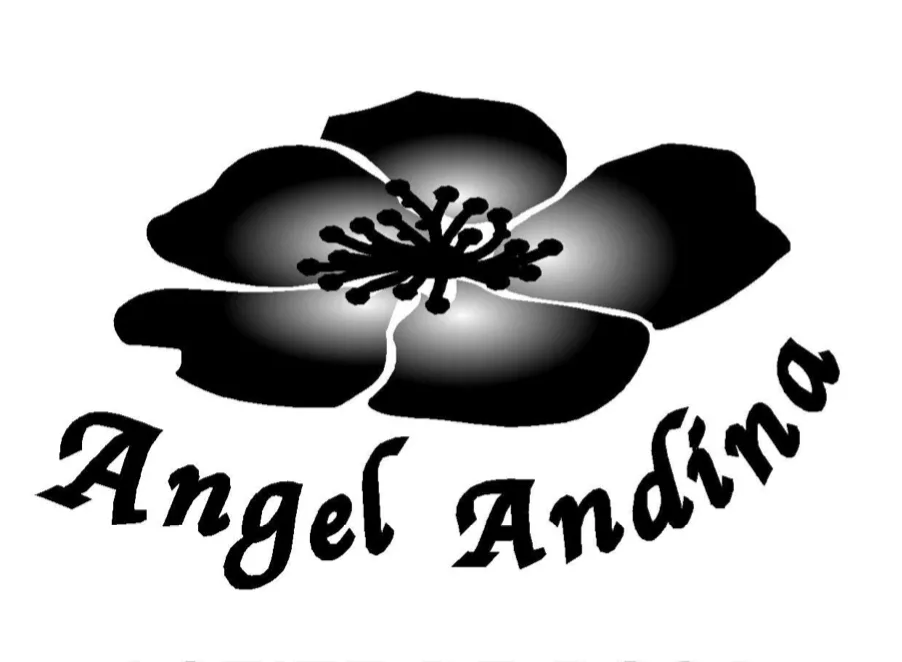 Angel Andína