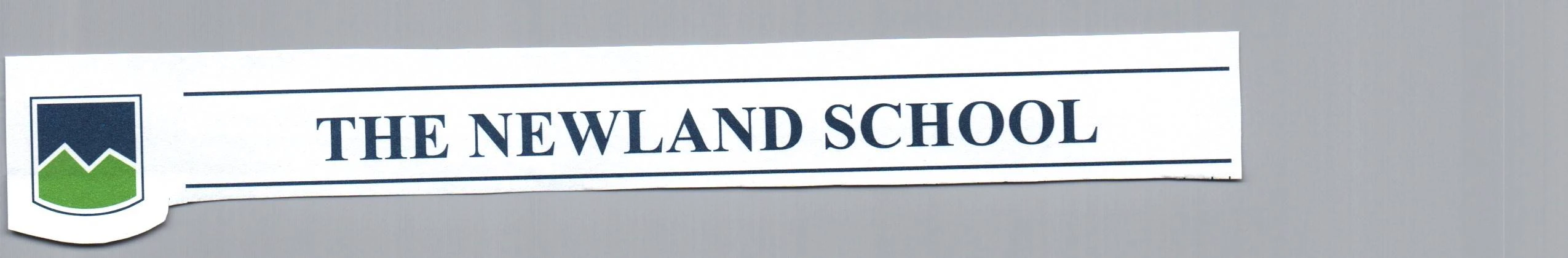 THE NEWLAND SCHOOL