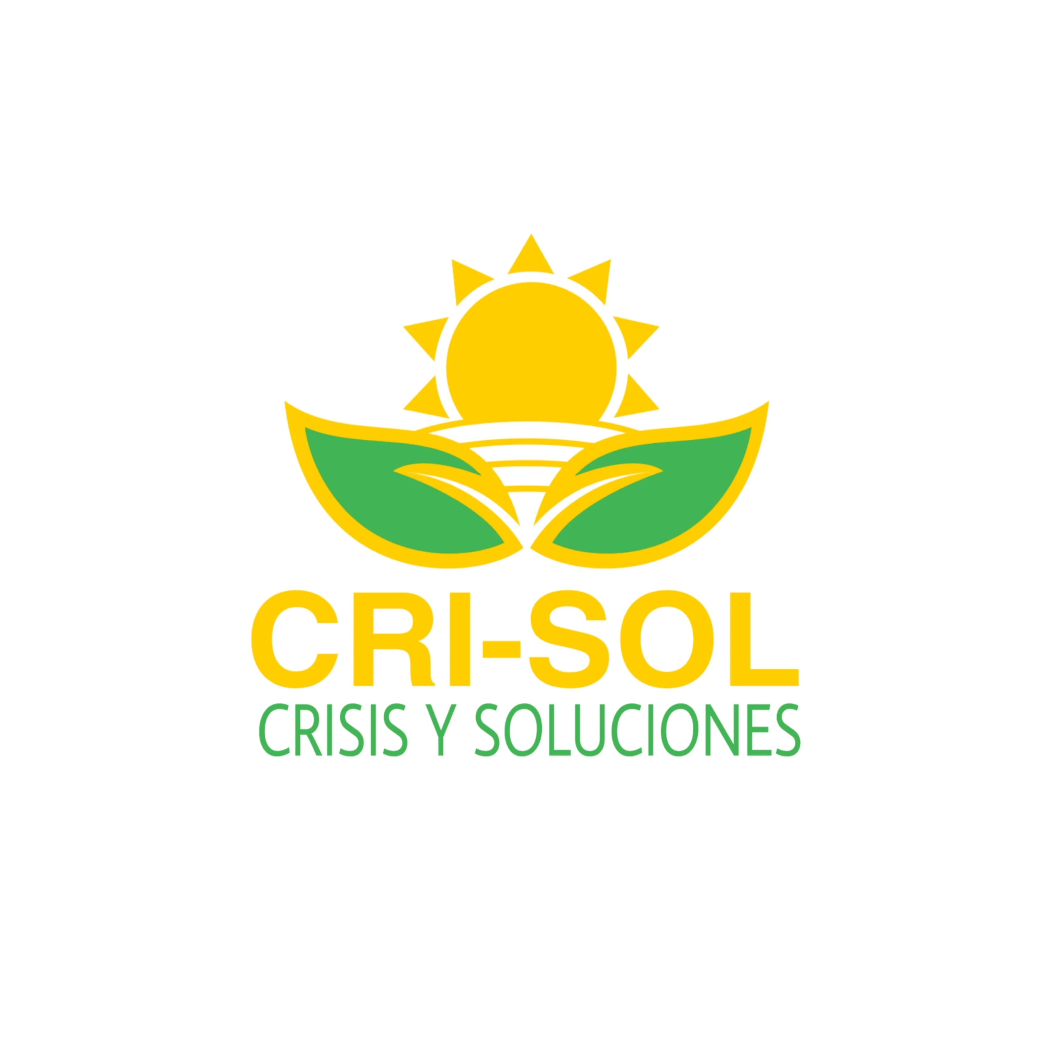 CRI- SOL CRISIS Y SOLUCIONES