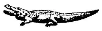 Acta 1256435