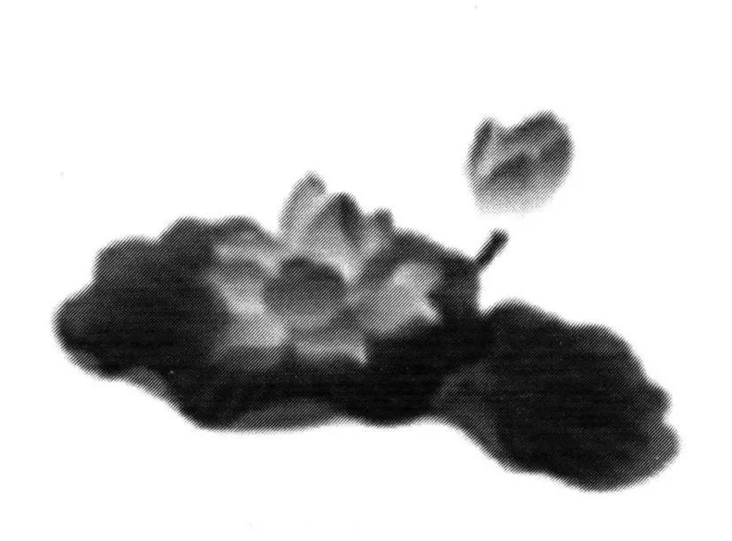 Acta 1296435