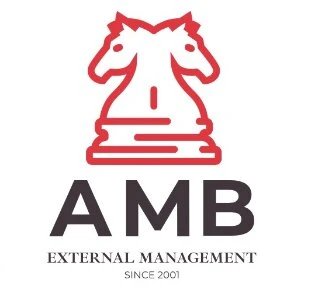 AMB EXTERNAL MANAGEMENT