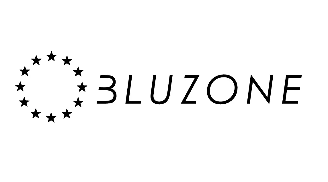 BLUZONE