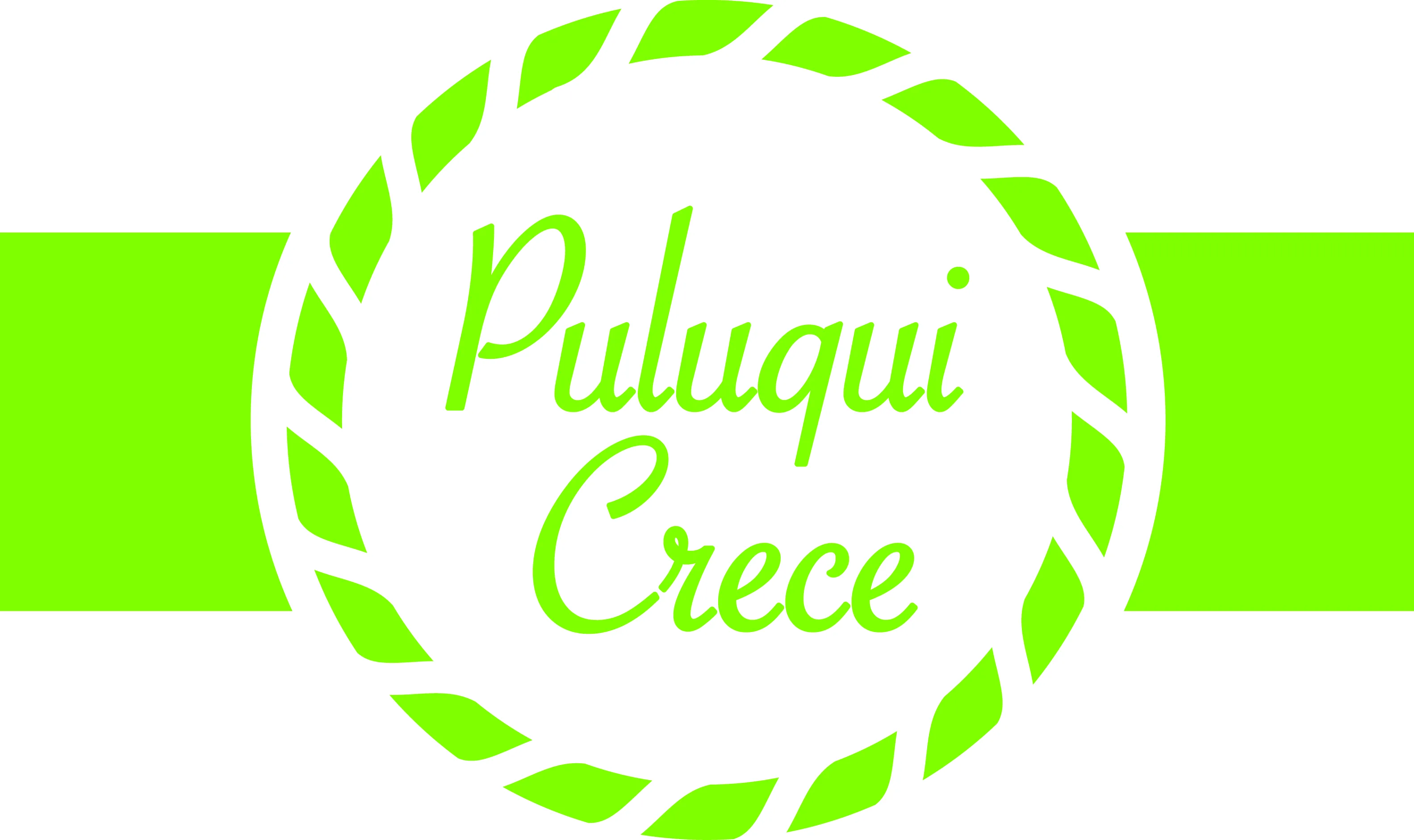 Puluqui Crece