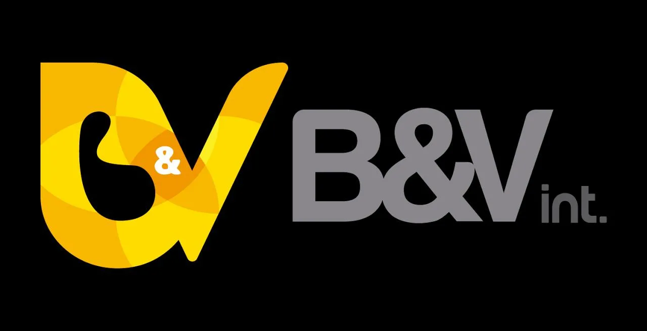 B&V B&V INT.