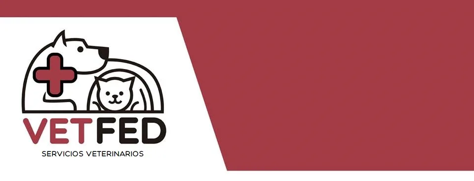 VETFED Servicios Veterinarios