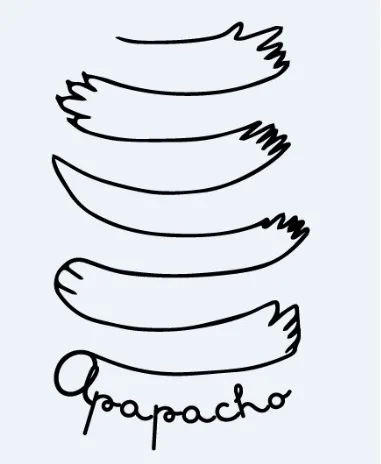 APAPACHO