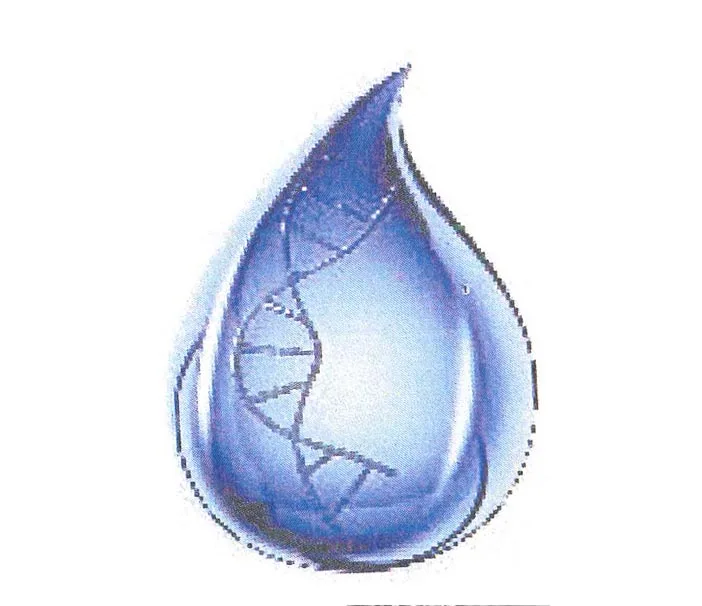 Acta 871445