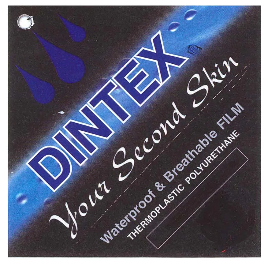 DINTEX