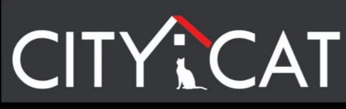 CITY CAT