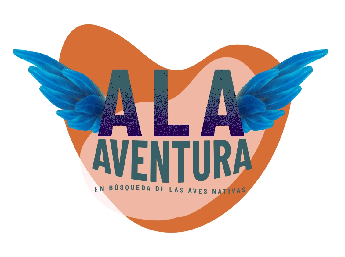 ALA AVENTURA