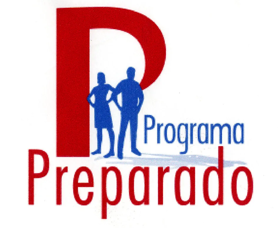 P-PROGRAMA PREPARADO