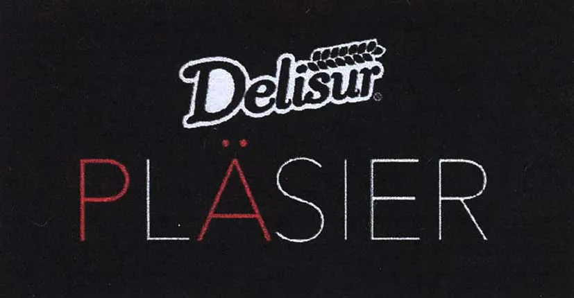 DELISUR PLASIER