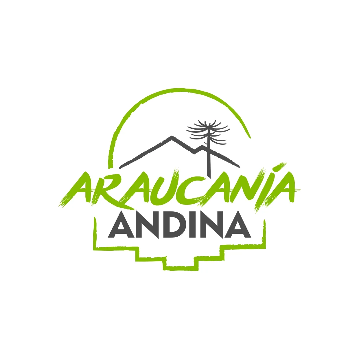 Araucanía Andina