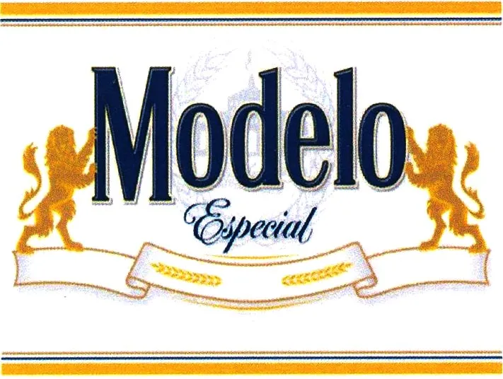 MODELO ESPECIAL