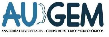 AU GEM ANATOMÍA UNIVERSITARIA - GRUPO DE ESTUDIOS MORFOLÓGICOS