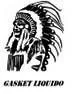 GASKET LIQUIDO