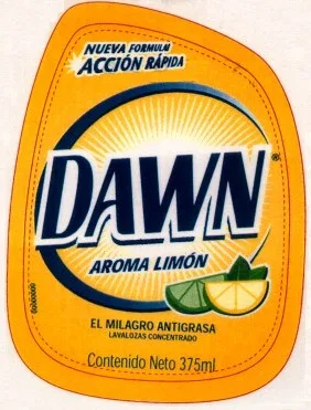DAWN