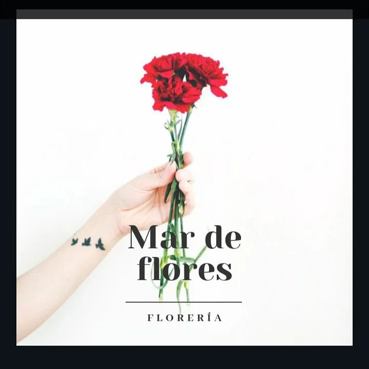 MAR DE FLORES FLORERÍA