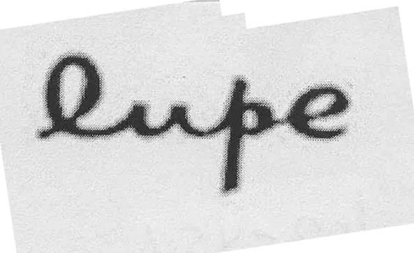 LUPE