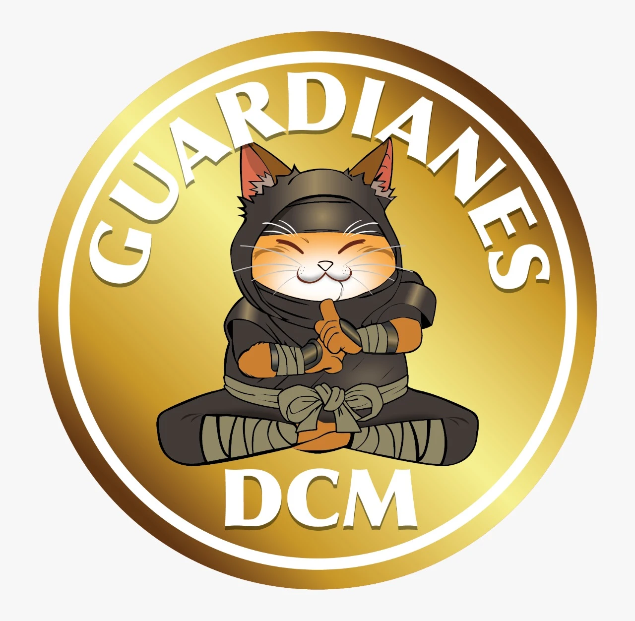 GUARDIANES DCM