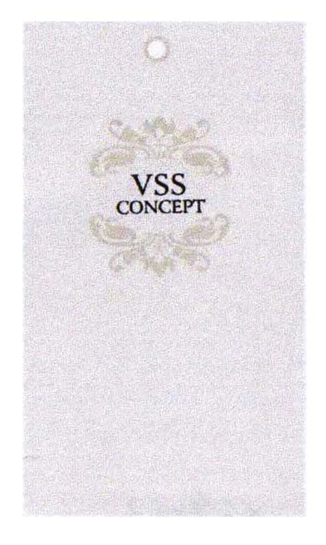 VSS CONCEPT