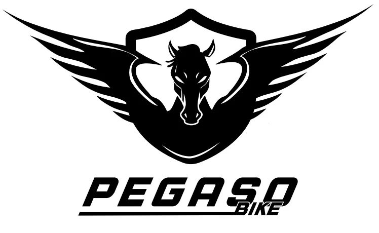 Pegaso Bike