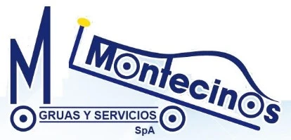 M MONTECINOS GRUAS Y SERVICIOS SPA