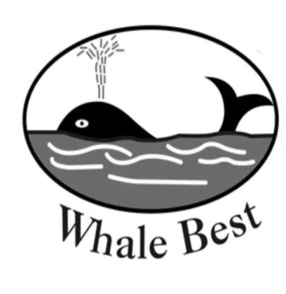 WHALE BEST