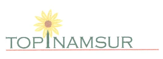 TOPINAMSUR