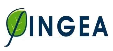 INGEA