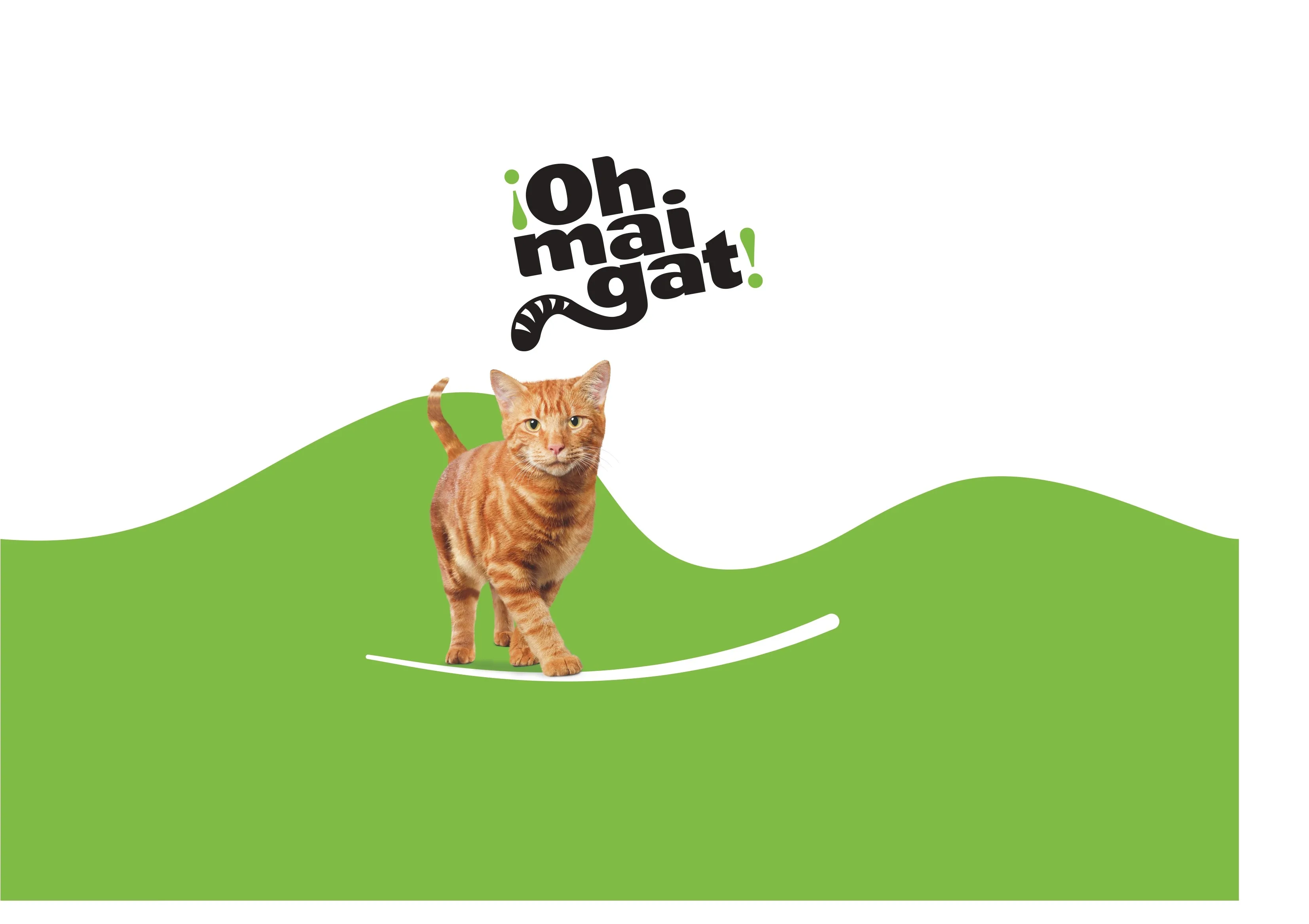 ¡OH MAI GAT!