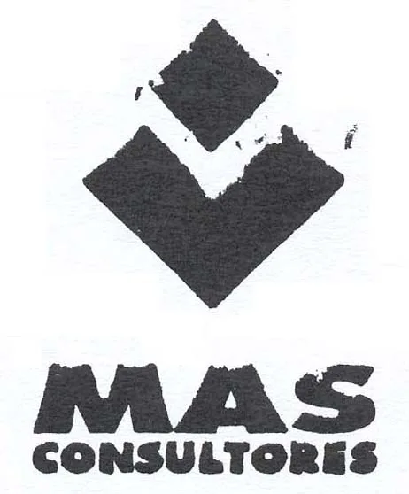MAS CONSULTORES