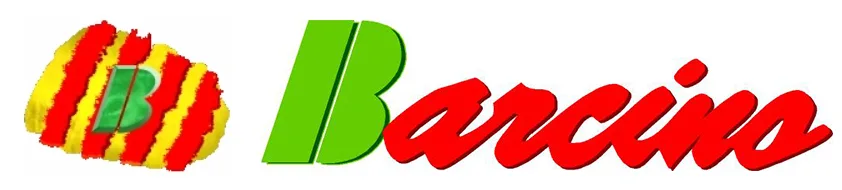 B BARCINO