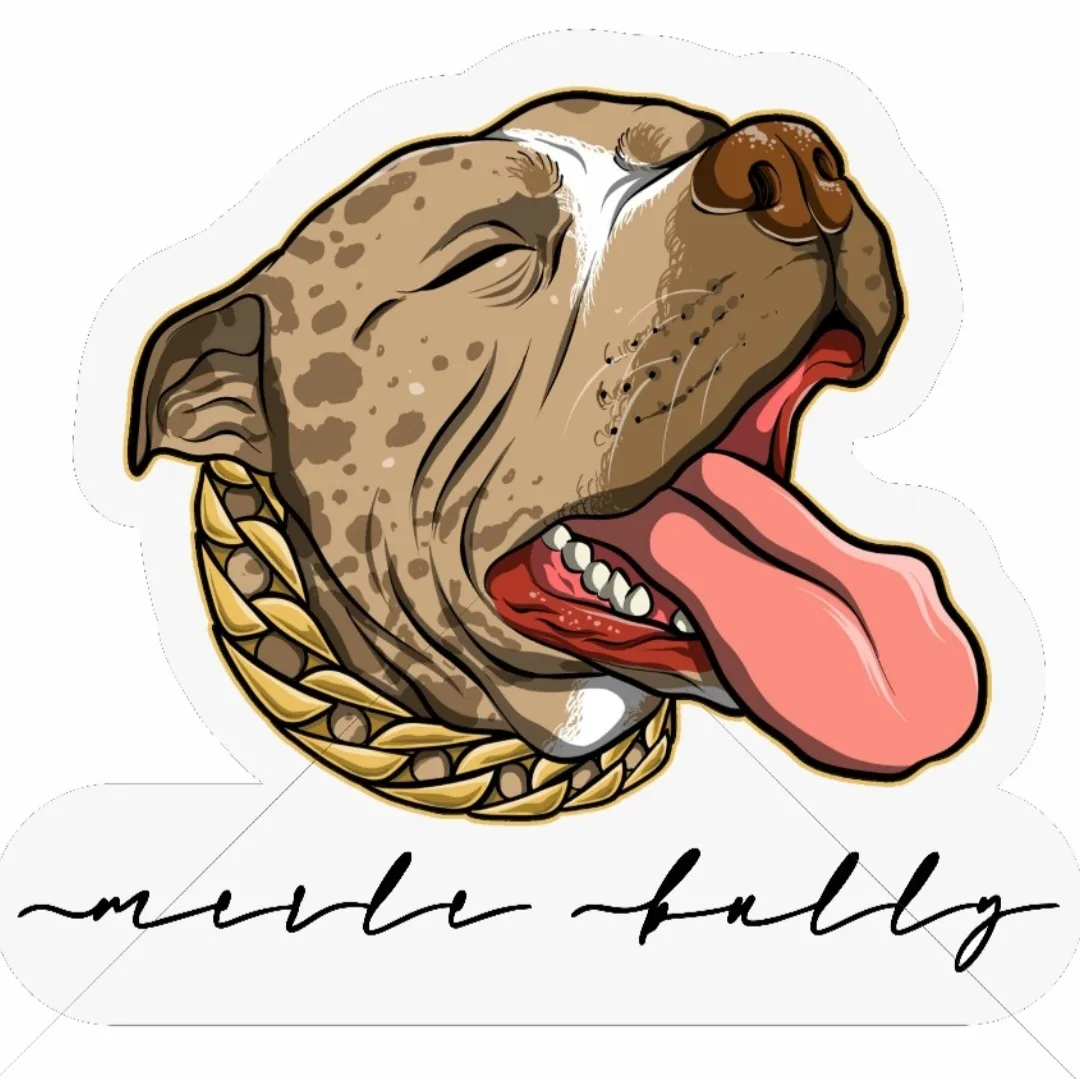 Merle Bully
