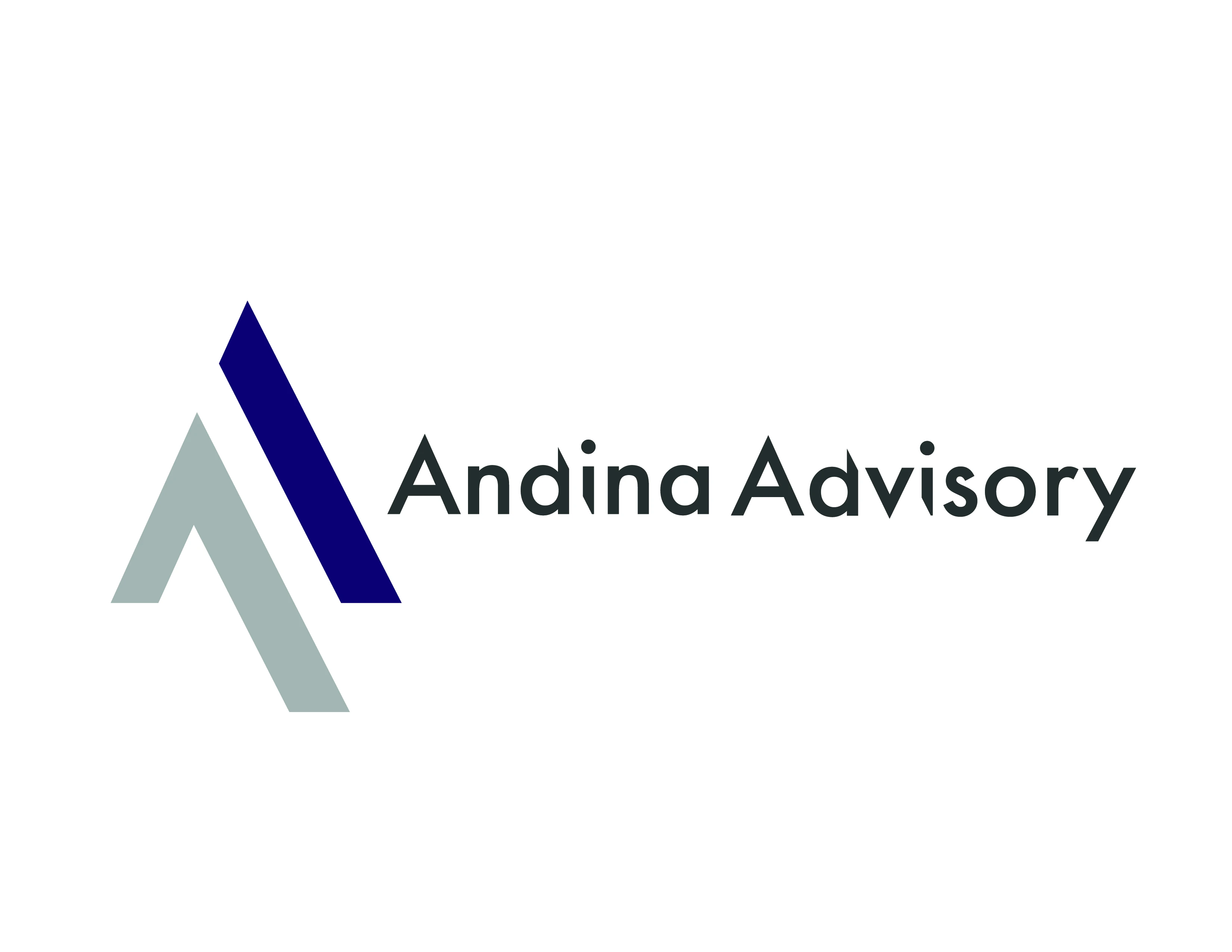 Andina Advisory