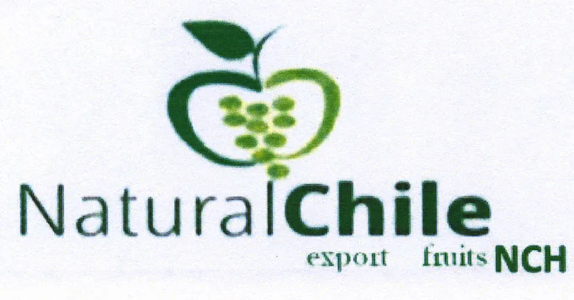 NATURAL CHILE EXPORT FRUITS NCH
