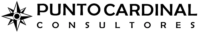 Punto Cardinal Consultores