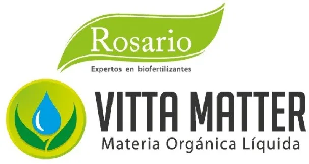 ROSARIO VITTA MATTER